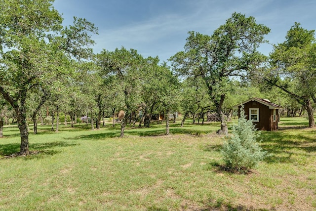 203 Stirrup Dr, Dripping Springs, TX 78620 - photo 35