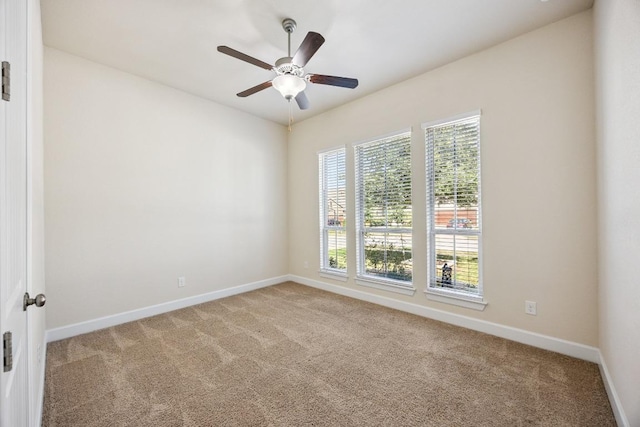 313 Cross Timbers Dr, Georgetown, TX 78628 - photo 17