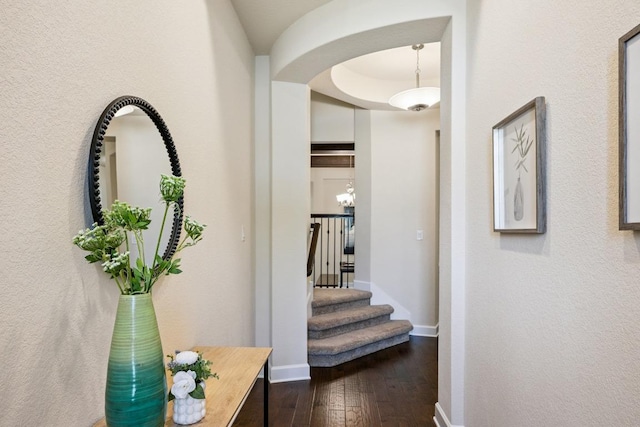 313 Cross Timbers Dr, Georgetown, TX 78628 - photo 4