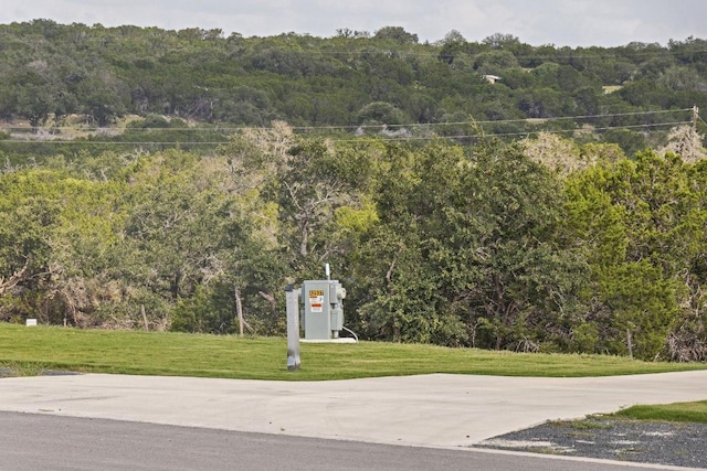 5386 Ranch Road 1376th Rd Unit 167, Fredericksburg, TX 78624 - photo 3