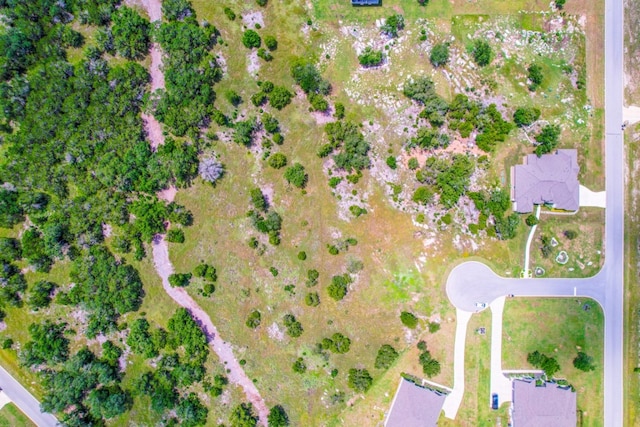 LOT68 Woodstock Cir, Spicewood, TX 78669 - photo 13