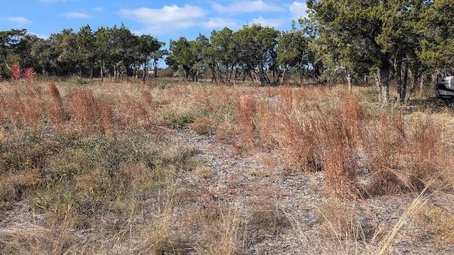 15765 Hamilton Pool Rd, Austin, TX 78738 - photo 1