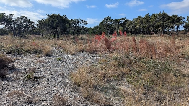 15765 Hamilton Pool Rd, Austin, TX 78738 - photo 2