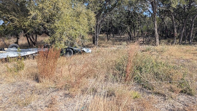 15765 Hamilton Pool Rd, Austin, TX 78738 - photo 3