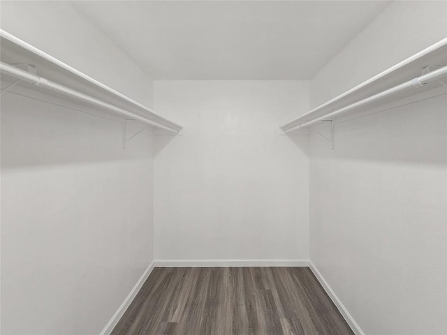11602 Santa Cruz Dr, Austin, TX 78759 - photo 10