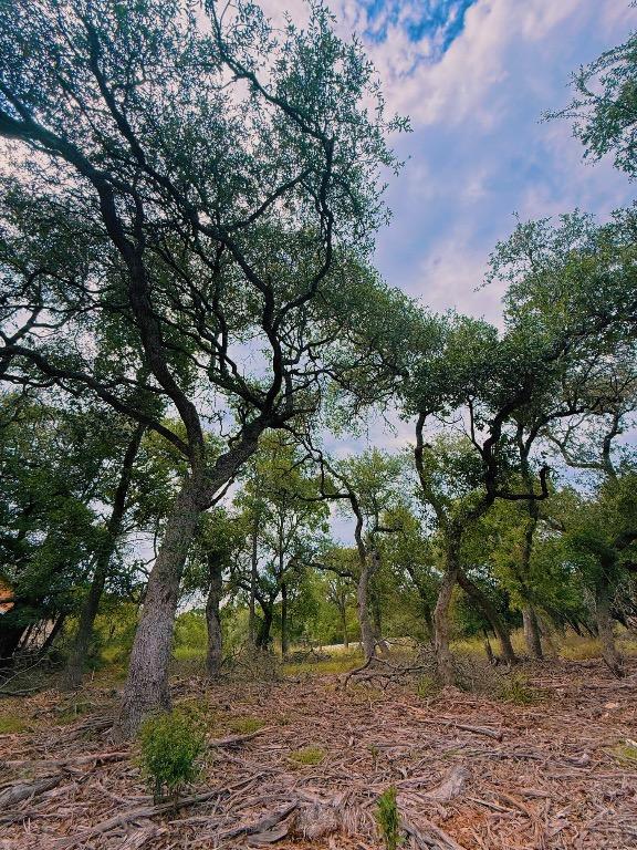 16 W El Camino Real Dr, Wimberley, TX 78676 - photo 3