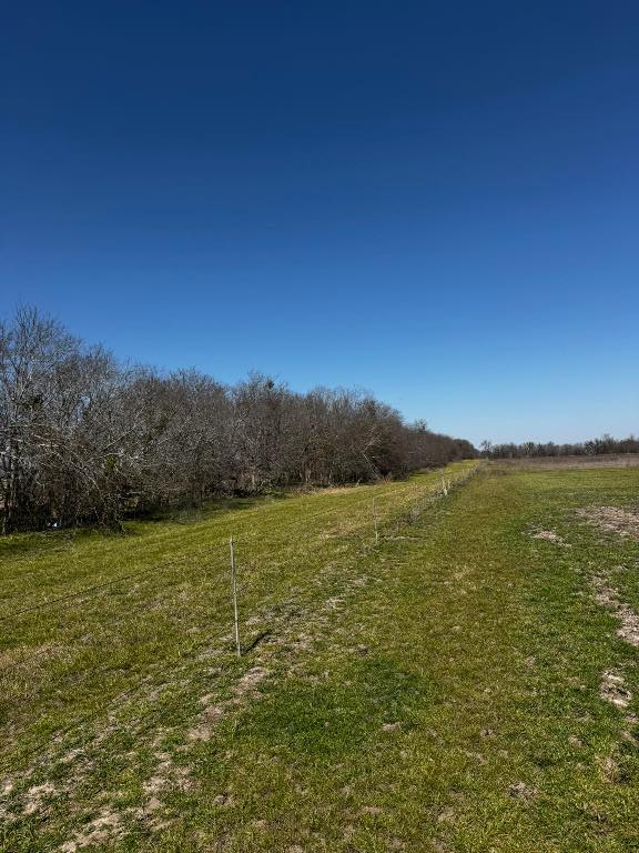 541 County Road 464, Thorndale, TX 76577 - photo 6