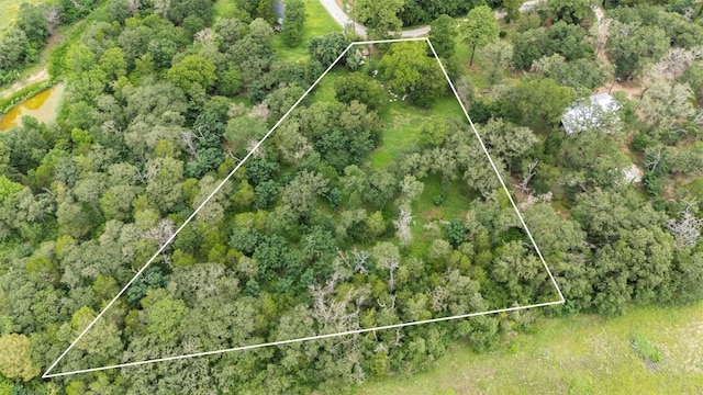 140 Rice Ave, Bastrop, TX 78602 - photo 20