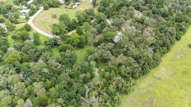 140 Rice Ave, Bastrop, TX 78602 - photo 28