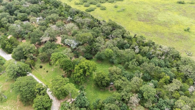 140 Rice Ave, Bastrop, TX 78602 - photo 31