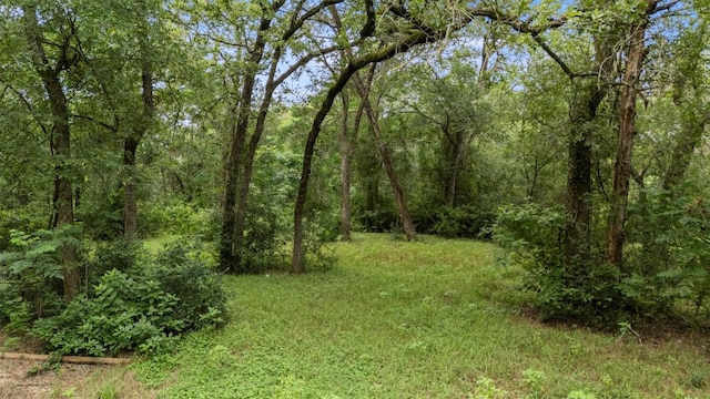 140 Rice Ave, Bastrop, TX 78602 - photo 3