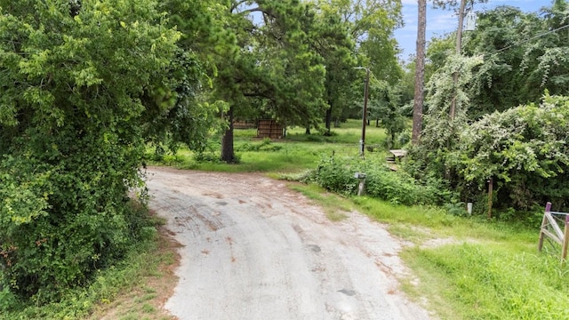 140 Rice Ave, Bastrop, TX 78602 - photo 4