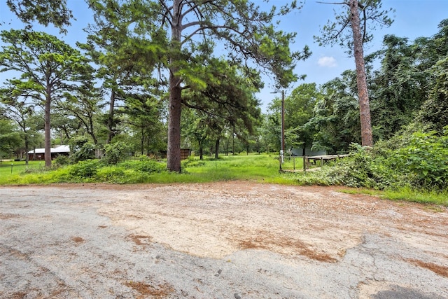 140 Rice Ave, Bastrop, TX 78602 - photo 5