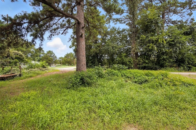 140 Rice Ave, Bastrop, TX 78602 - photo 7