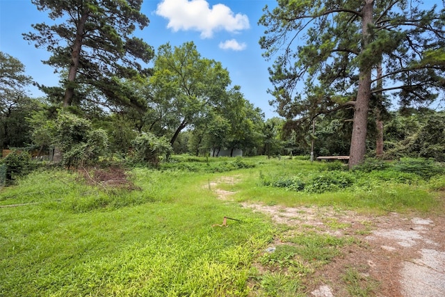140 Rice Ave, Bastrop, TX 78602 - photo 9