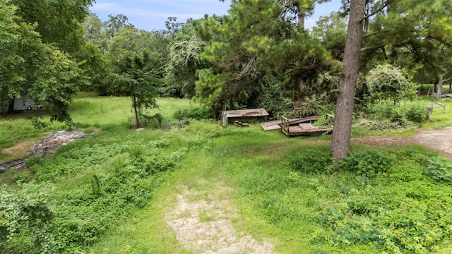 140 Rice Ave, Bastrop, TX 78602 - photo 10