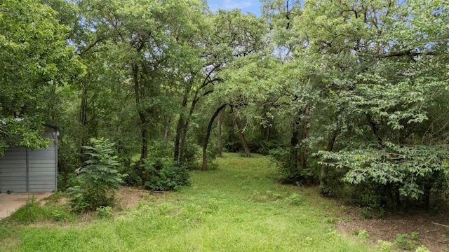140 Rice Ave, Bastrop, TX 78602 - photo 13