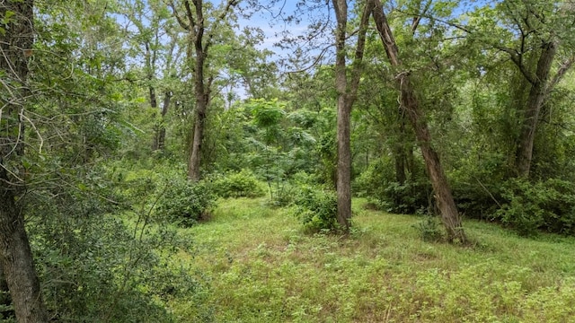 140 Rice Ave, Bastrop, TX 78602 - photo 14