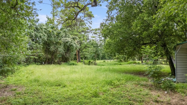 140 Rice Ave, Bastrop, TX 78602 - photo 16