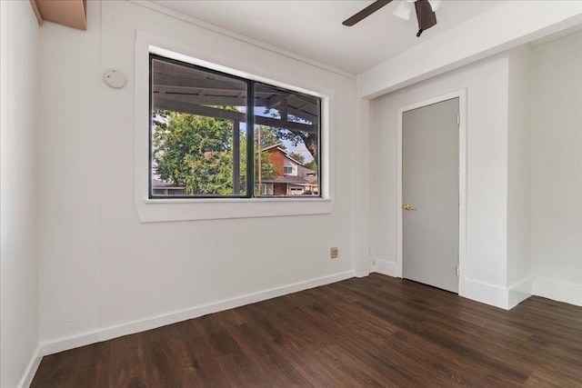 704 Franklin Blvd, Austin, TX 78751 - photo 12