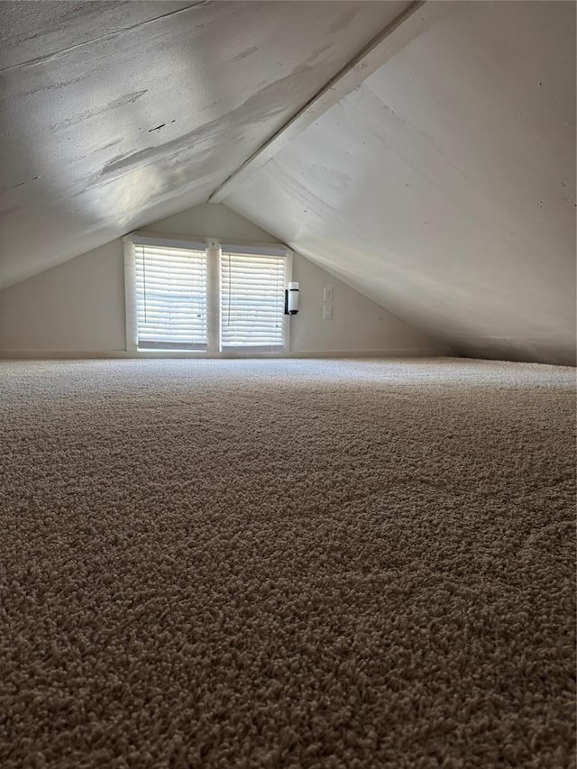 704 Franklin Blvd, Austin, TX 78751 - photo 26