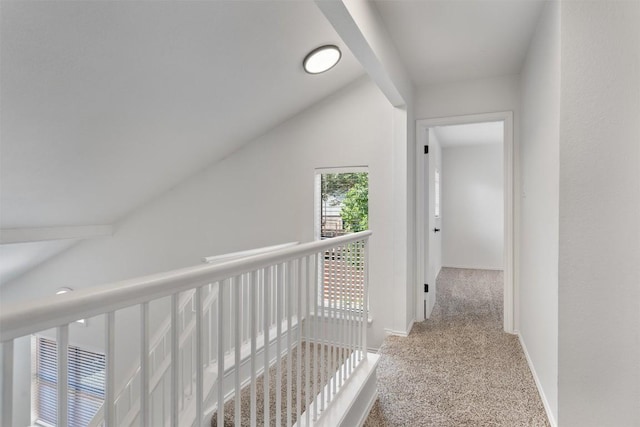 3905 Danli Ln, Austin, TX 78749 - photo 24