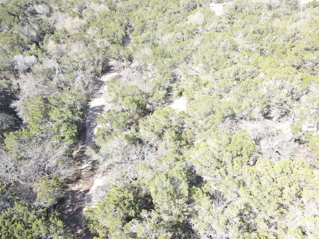 17442 E Reed Park Rd, Jonestown, TX 78645 - photo 2