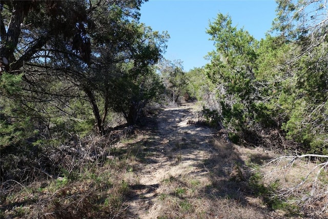 17442 E Reed Park Rd, Jonestown, TX 78645 - photo 4