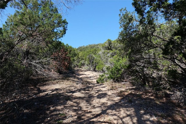 17442 E Reed Park Rd, Jonestown, TX 78645 - photo 6
