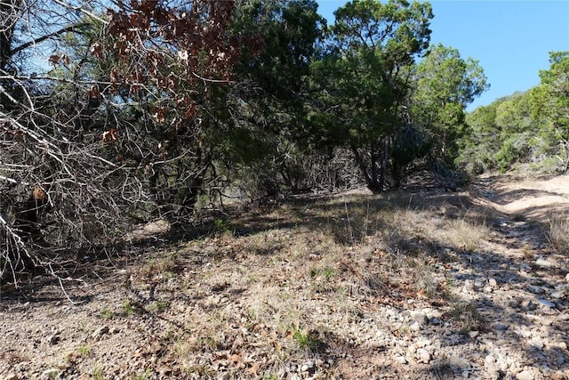 17442 E Reed Park Rd, Jonestown, TX 78645 - photo 8