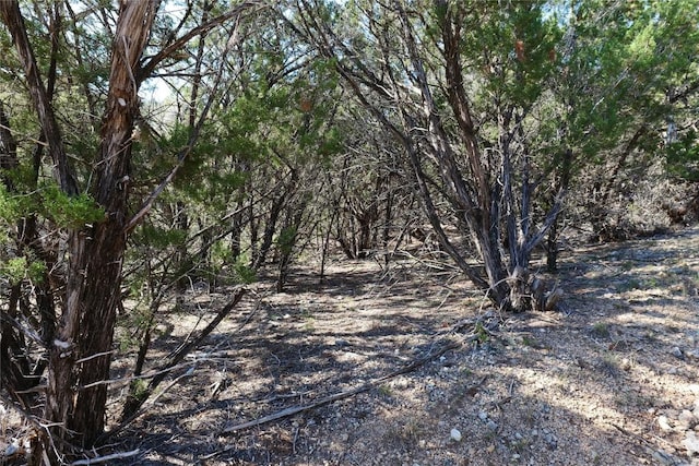 17442 E Reed Park Rd, Jonestown, TX 78645 - photo 9