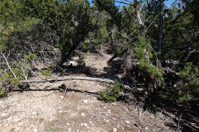 17442 E Reed Park Rd, Jonestown, TX 78645 - photo 10