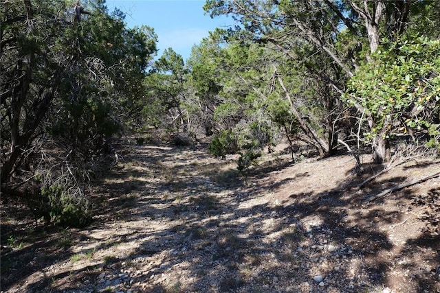 17442 E Reed Park Rd, Jonestown, TX 78645 - photo 11