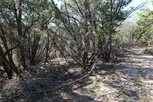 17442 E Reed Park Rd, Jonestown, TX 78645 - photo 12