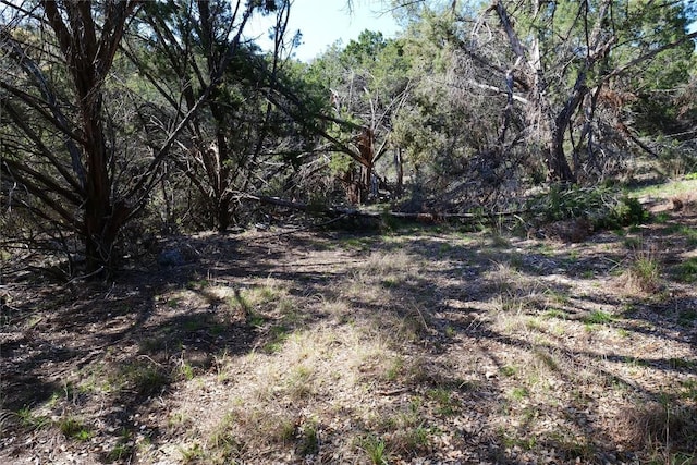17442 E Reed Park Rd, Jonestown, TX 78645 - photo 14