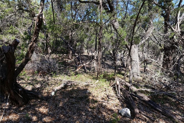 17442 E Reed Park Rd, Jonestown, TX 78645 - photo 15