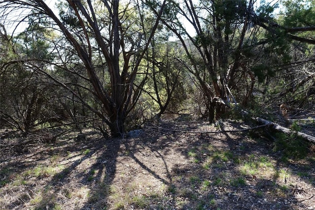 17442 E Reed Park Rd, Jonestown, TX 78645 - photo 17