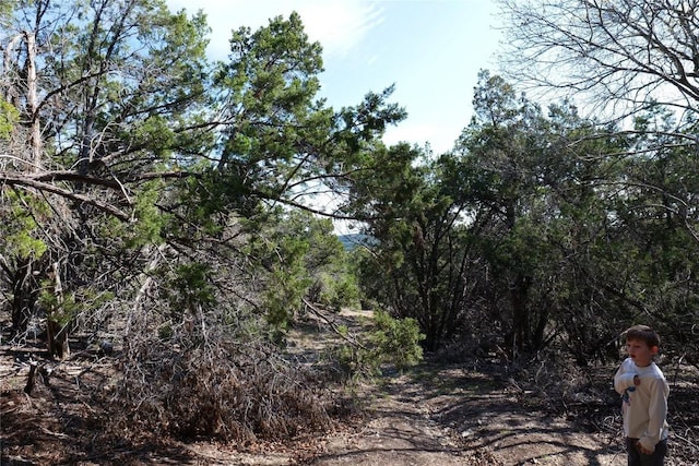 17442 E Reed Park Rd, Jonestown, TX 78645 - photo 18