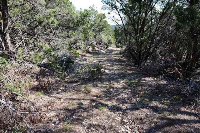 17442 E Reed Park Rd, Jonestown, TX 78645 - photo 19