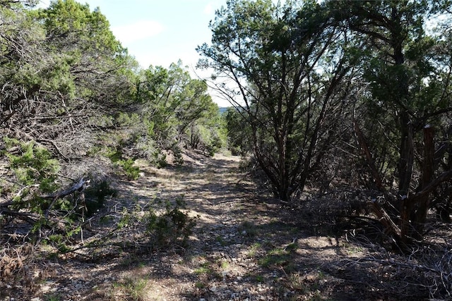 17442 E Reed Park Rd, Jonestown, TX 78645 - photo 20