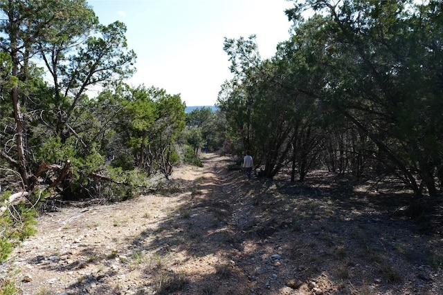 17442 E Reed Park Rd, Jonestown, TX 78645 - photo 22