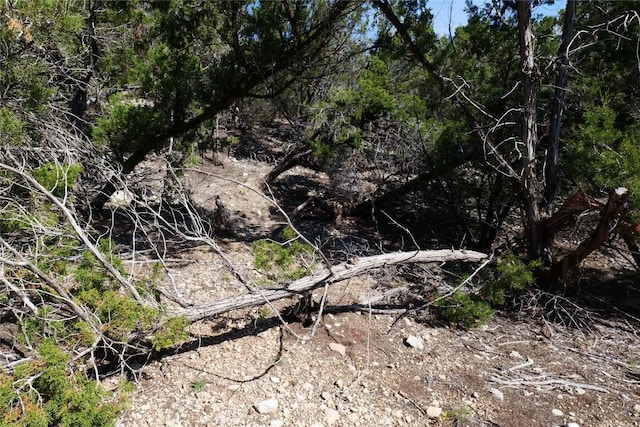 17442 E Reed Park Rd, Jonestown, TX 78645 - photo 23