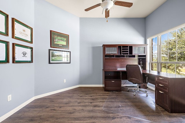 124 Silkstone St, Hutto, TX 78634 - photo 22