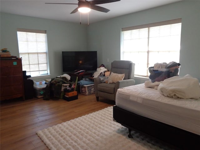 2806 Wren Rd, Manchaca, TX 78652 - photo 11