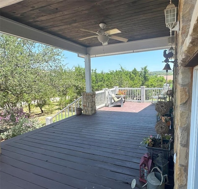 21203 Packsaddle Trl, Lago Vista, TX 78645 - photo 5