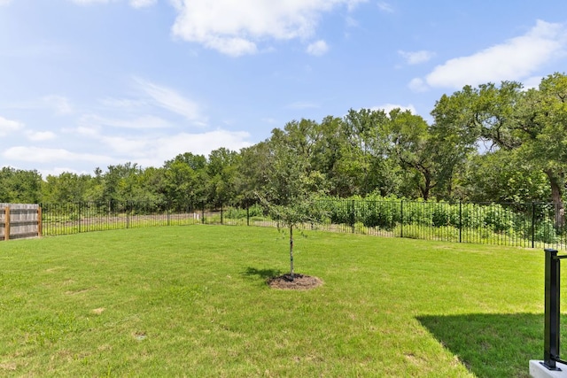 16624 Wind Chime Dr, Manor, TX 78653 - photo 31