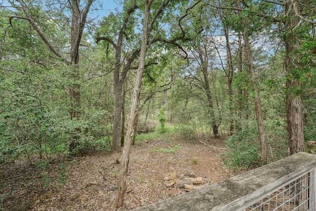 126 Spanish Trl, Bastrop, TX 78602 - photo 22