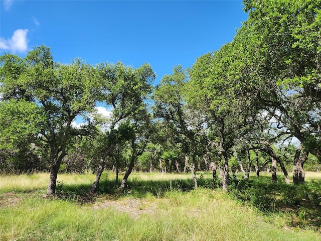 11360 Fm 32nd Hwy, Fischer, TX 78623 - photo 3