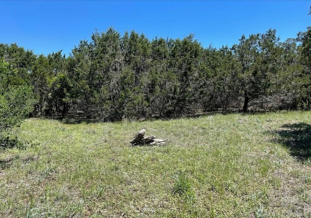 11360 Fm 32nd Hwy, Fischer, TX 78623 - photo 4