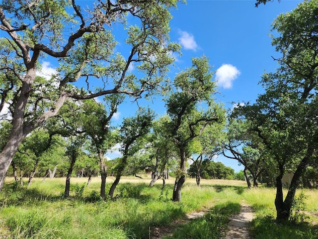 11360 Fm 32nd Hwy, Fischer, TX 78623 - photo 5